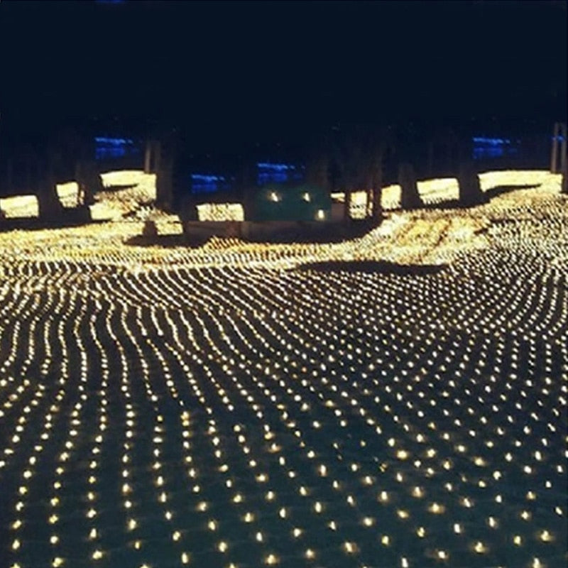 Christmas Net Lights