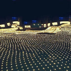 Christmas Net Lights