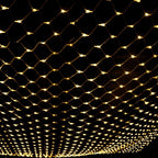 Christmas Net Lights