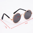 Trendy Vintage Round Pet Glasses