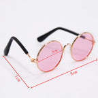 Trendy Vintage Round Pet Glasses
