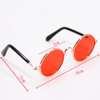 Trendy Vintage Round Pet Glasses