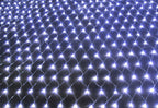 Christmas Net Lights