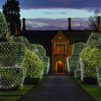 Christmas Net Lights