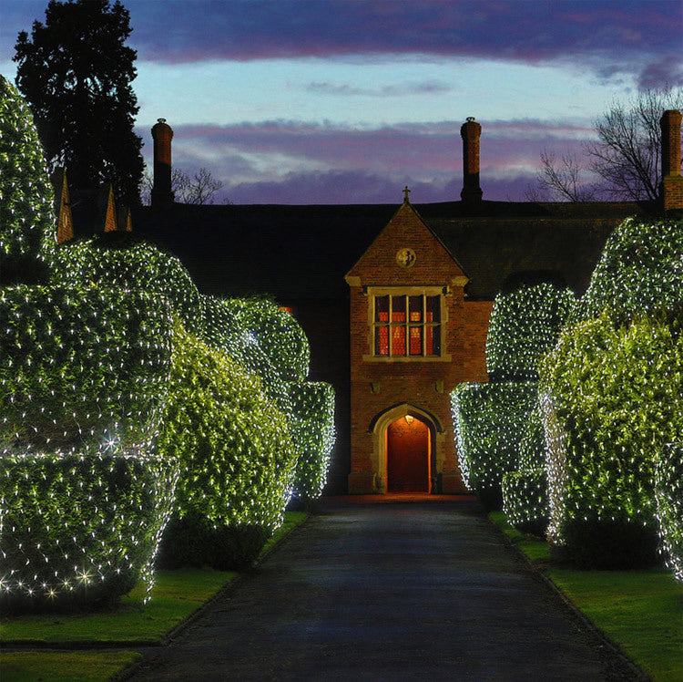 Christmas Net Lights