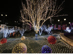 Christmas Net Lights
