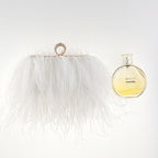 one-shoulder evening bag fashion